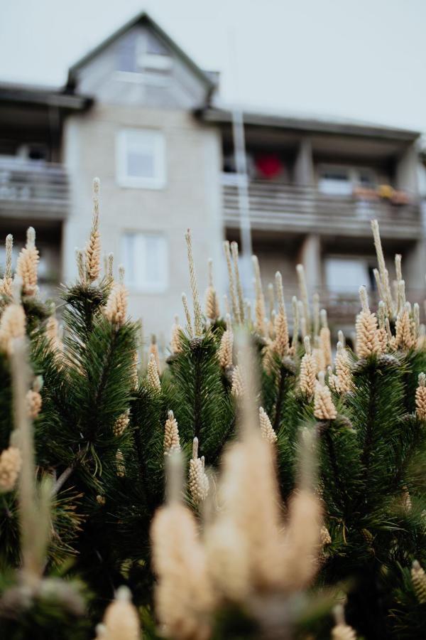 Lina apartamenti Apartment Jurkalne Bagian luar foto